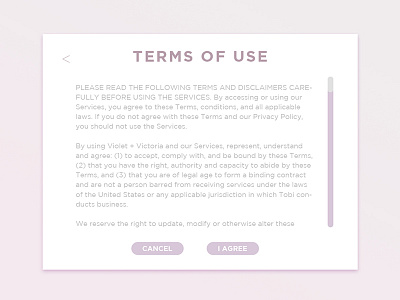 Daily UI 089 | Terms Of Use dailyui