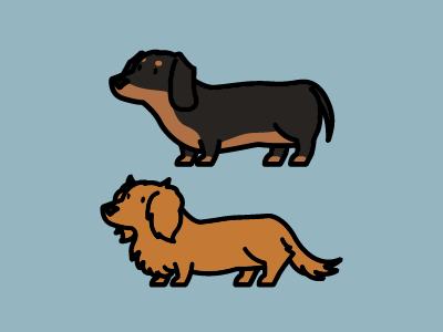 My dogs dachshund dog illustration