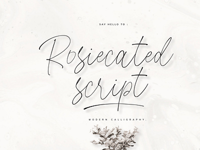 Rosiecated Script! branding elegant font fonts handwritten lettering logo lookbook magazine modern