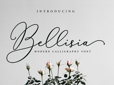 Bellisia Script branding branding design elegant font font design handwritten lettering logo magazine modern