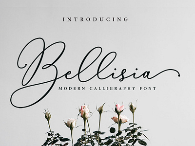 Bellisia Script