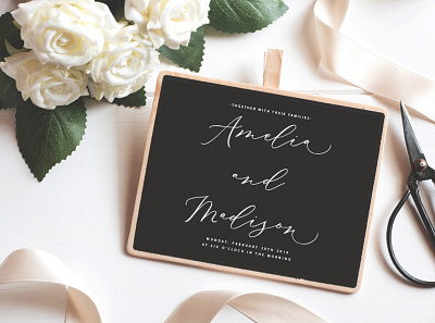 Save The Date Biancha Script branding branding design elegant font fonts handwritten invitation lettering lookbook modern wedding wedding invitation