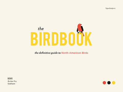 Type Study #1 - The Birdbook bird book study the type typography