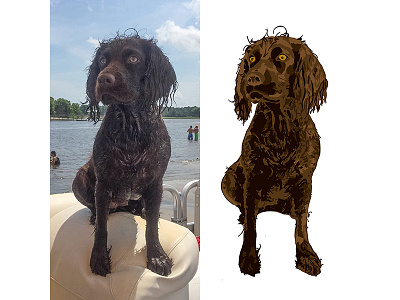 Bird Dog Coffee Illustration boykin boykins boykinspaniel dog dogs illustration southcarolina