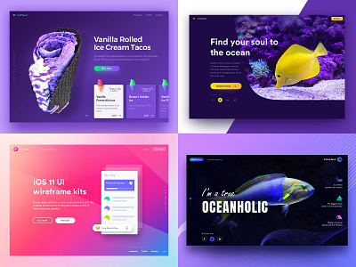 2018 app branding color design header icon illustration ui ux web website