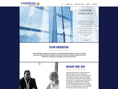 Yard Insurance Home Page design icon logo typography ui ux vector web design