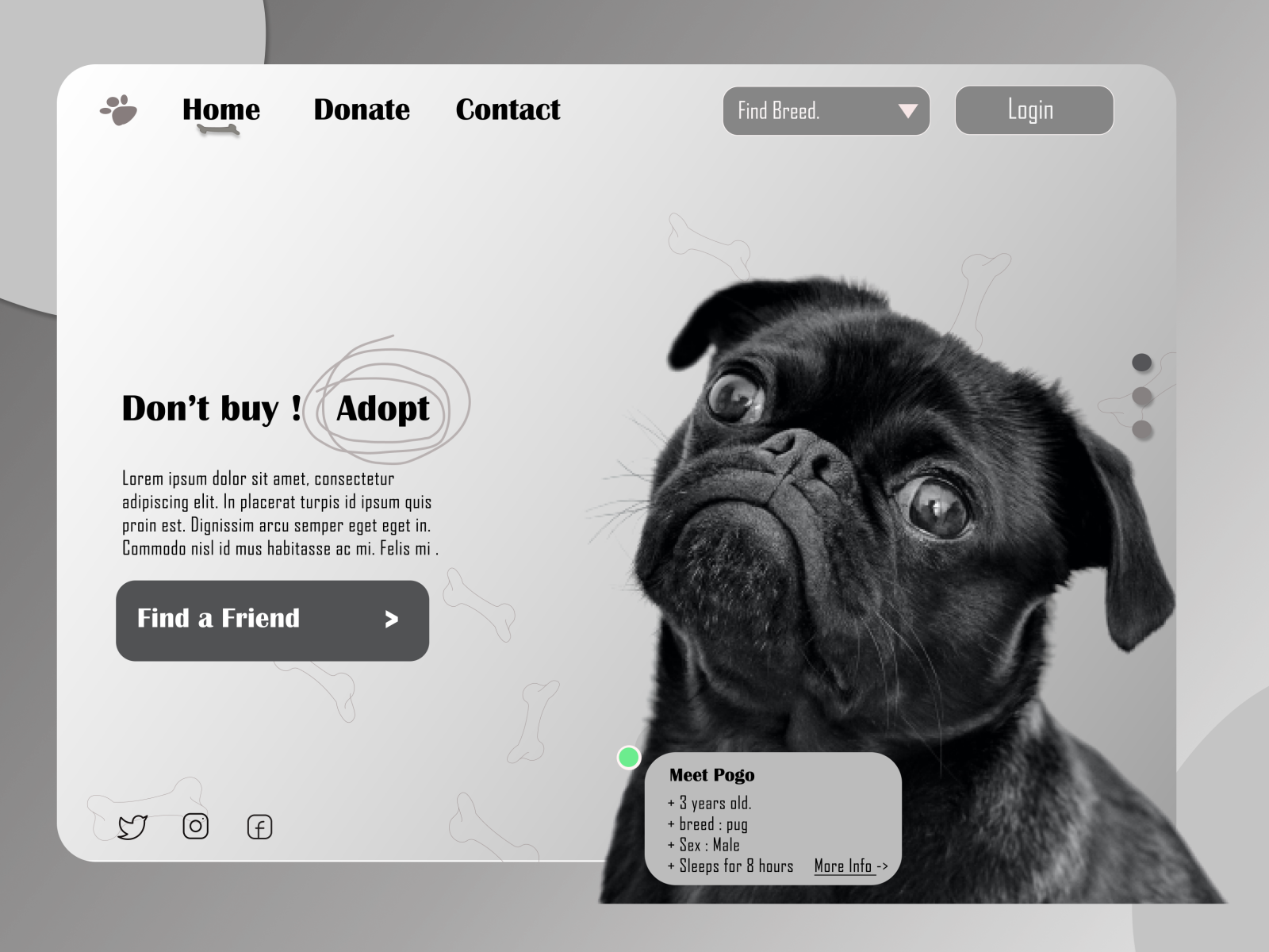 Dog Adoption site. by Richa Banka on Dribbble