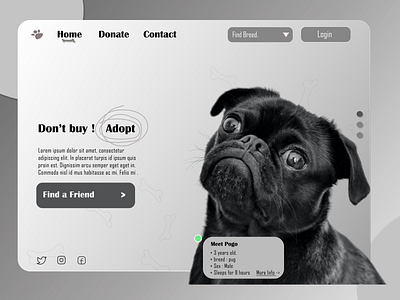 Dog Adoption Website. adoption black design dog dog adopt webiste dog logo dog website figma graphic design grey pug ux vector web design website