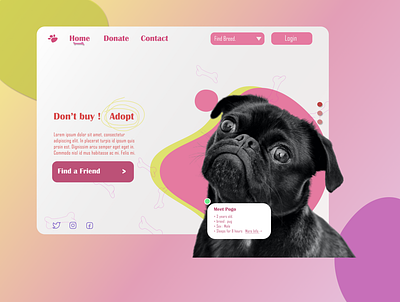 A Dog Website adoption branding breed design dog dog website figma logo pink red vector