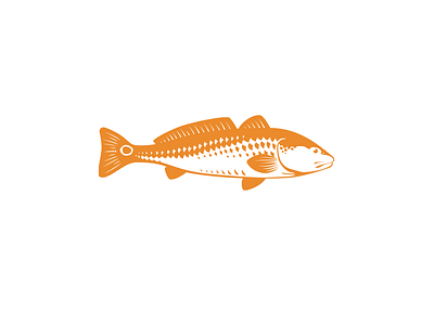 Redfish 1 color fish illustration redfish