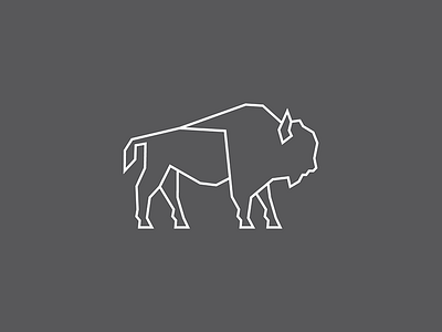 Buffalo buffalo geometric linear oklahoma plains thunder wildlife