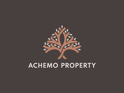 Achemo Property