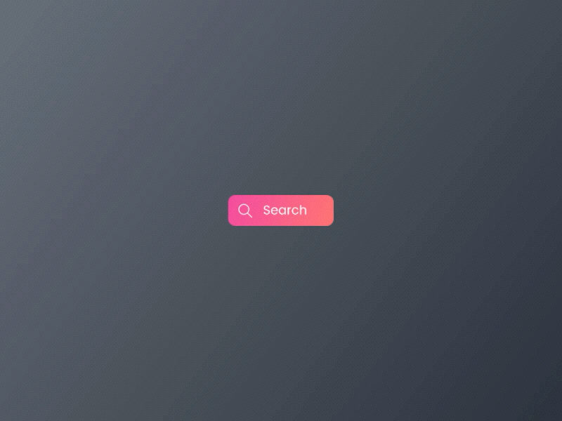 Daily UI #022 - Search 022 animation button daily dailyui hint input search ui ux