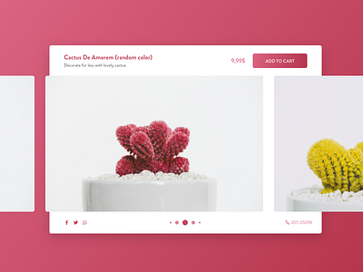 Daily UI #072 - Image Slider cactus ui white daily flat flowers love pots slider swipe ui ux