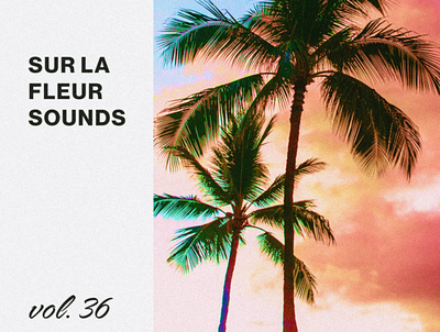 Sur La Fleur Sounds vol. 36 album art cover art design graphic design music photography typography visualdesign