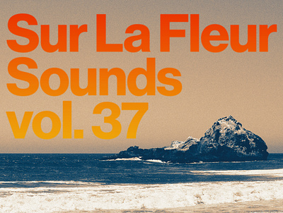 Sur La Fleur Sounds vol. 37 album art cover art design graphic design music photography typography visualdesign