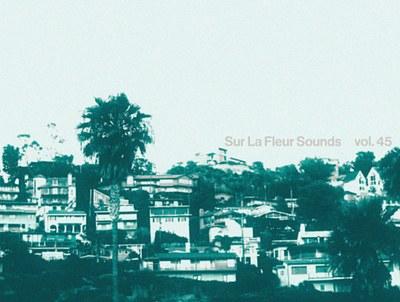 Sur La Fleur Sounds vol. 45 album art cover art design graphic design music photography typography visualdesign