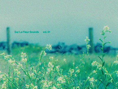 Sur La Fleur Sounds vol. 51 album art cover art design graphic design music photography typography visualdesign