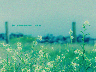 Sur La Fleur Sounds vol. 51