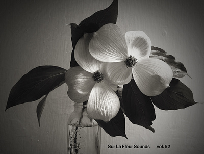 Sur La Fleur Sounds vol. 52 album art cover art design graphic design music photography typography visualdesign