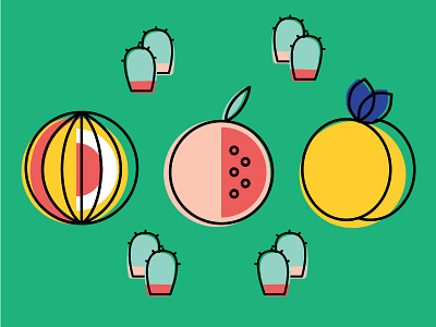 Fruits cacti color block fruit illustration line personal