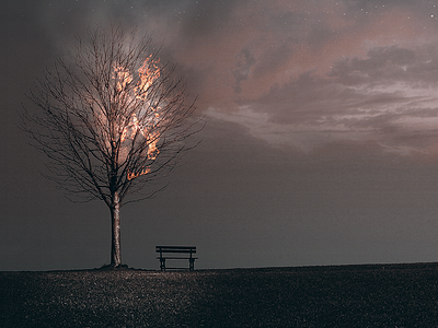 Tranquility comp fire photomanipulation sunset tree