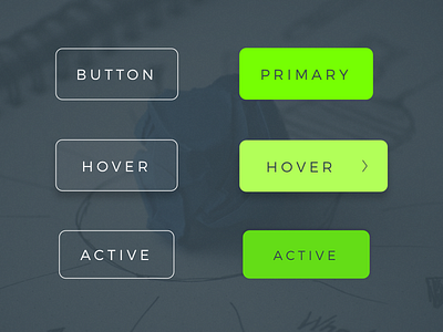 Button States active atomic design button button states buttons hover primary website
