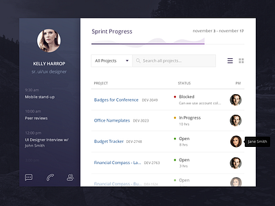 Sprint Tracker agile dashboard debut flat profile sprint tracking