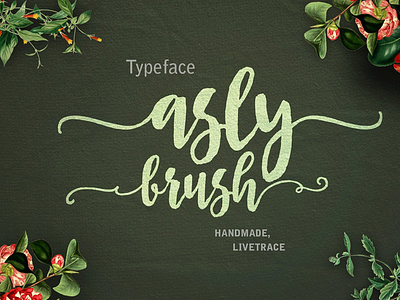 Asly-Brush