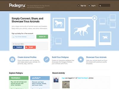 Pedegru Homepage clean home page homepage layout social network web design