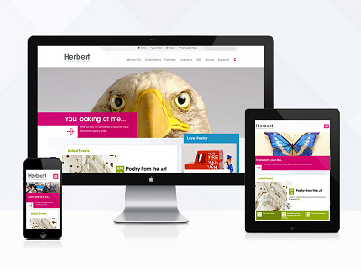 The Herbert Museum museum responsive website