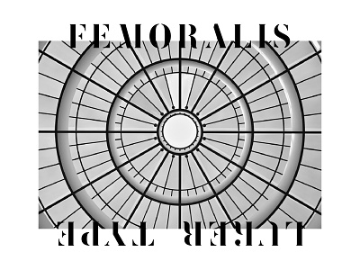 Femoralis by LukerType design femoralis font illustrator lettering lg lt luker stencil type typography