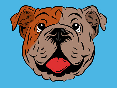 Bulldog color design dog flat graphic illustration vector