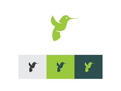 Hummingbird bird environmental hummingbird logo mark