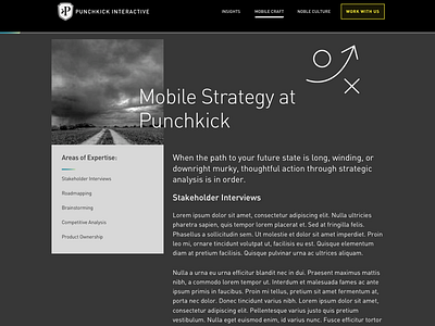 Punchkick Site Content View icon interface responsive typography ui web