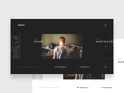 stargasm. bold clean minimal personnal photo photographer photography template theme