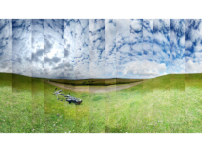 Cycling around on a Dutch island bicycle bike dutch nature photography terschilling