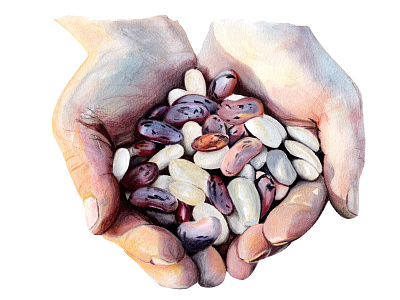 Illustration Beans in Hand design food illustration illustration