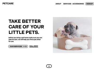 PetCare Website design design ui