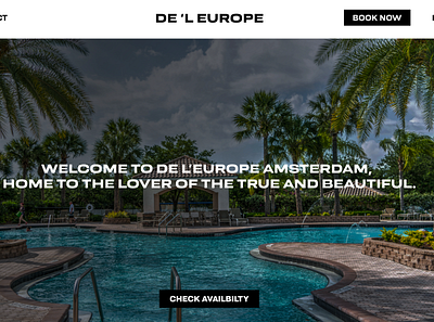 Hotel Landing Page branding design ui