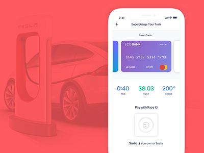 Credit Card Payment credit card face id tesla