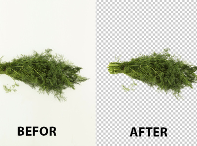 complex clipping work background remove