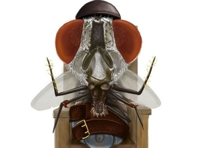 La mosca ilustración