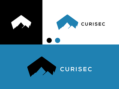 CURISEC logo design inspiration ux vector ui typography illustration icon logo graphic design design branding