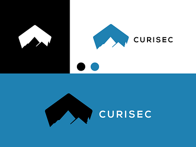 CURISEC logo design inspiration branding design graphic design icon illustration logo typography ui ux vector