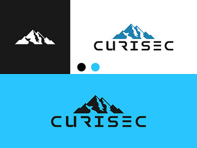 CURISEC logo design inspiration branding design graphic design icon illustration logo typography ui ux vector