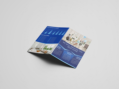 Bofold brochure bofold brochure branding brochure design graphic design illustration typography