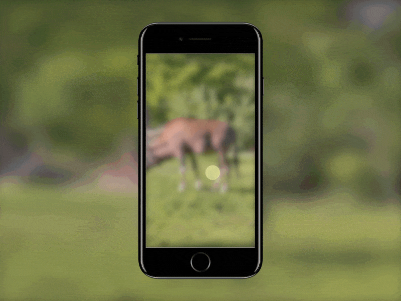 AR App For the National Reserve app ar natural photo reality recognition vr