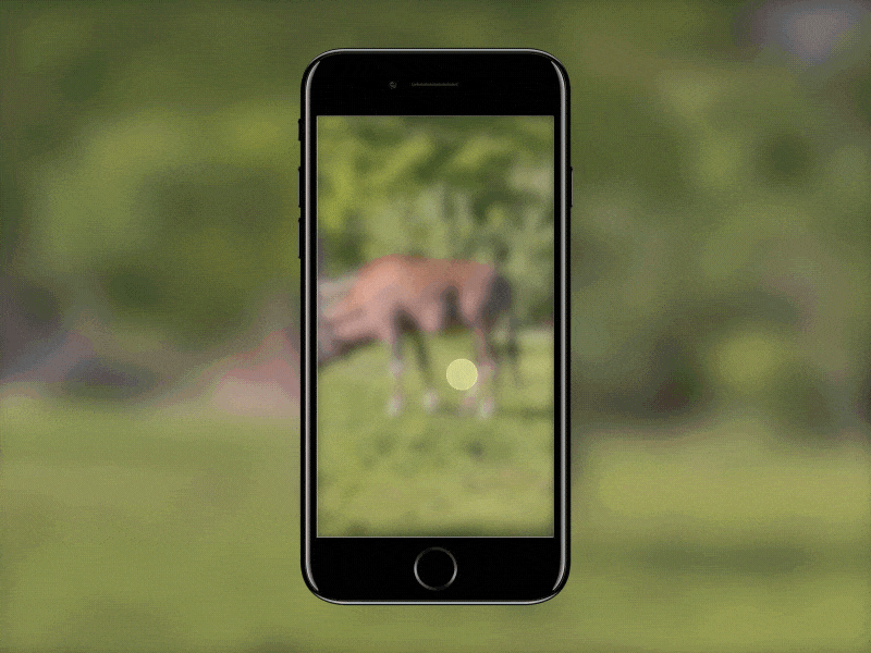 AR App For the National Reserve