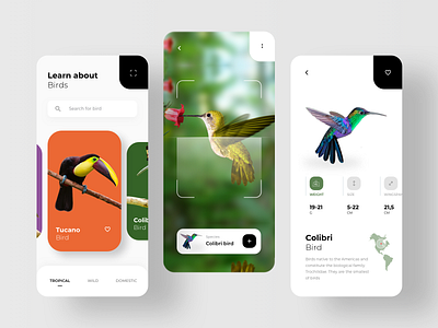 Bird Search With AR Scan app ar augmented reality augmentedreality camera learning machine learning machinelearning photo reality rondesign virtual